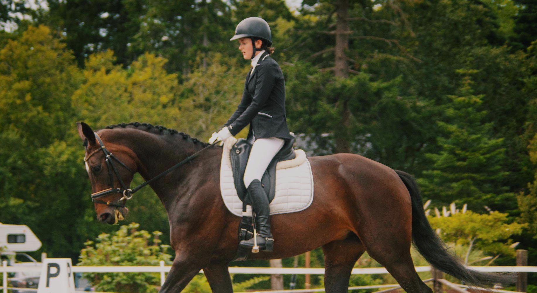 Appleseed Equestrian - Grace Whitmore