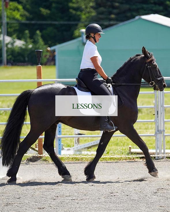Appleseed Equestrian Lessons - Hood River